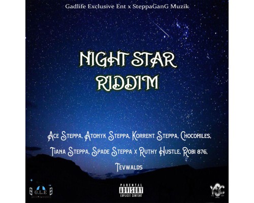 Various Artists - Night Star Riddim