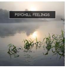 Various Artists - Psychill Feelings