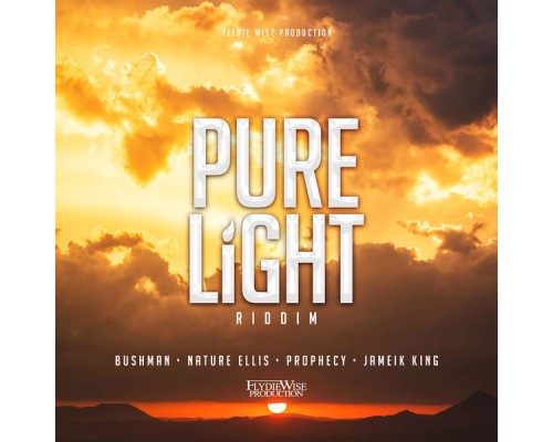 Various Artists - Pure Light