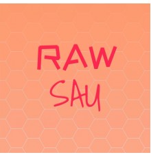 Various Artists - Raw Sau