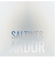 Various Artists - Saltines Ardor