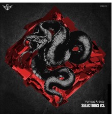 Various Artists - Selections V3