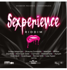 Various Artists - Sexperience Riddim