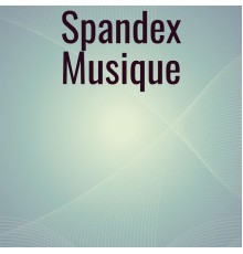 Various Artists - Spandex Musique