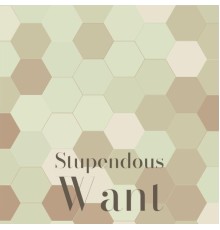 Various Artists - Stupendous Want