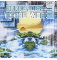 Various Artists - Surrender to the Vibe 3