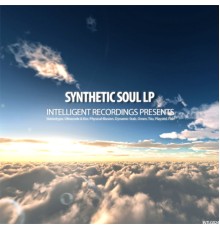 Various Artists - Synthetic Soul LP