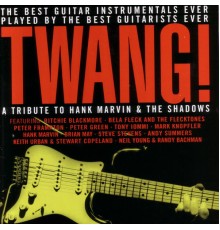 Various Artists - Twang !