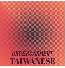 Various Artists - Undergarment Taiwanese