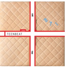 Various Artists - 1999 Teenbeat Sampler