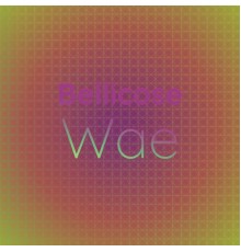 Various Artists - Bellicose Wae