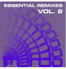 Various Artists - Essential Remixes Vol.2