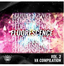 Various Artists - Fluorescence