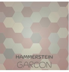 Various Artists - Hammerstein Garcon