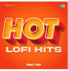 Various Artists - Hot Lofi Hits