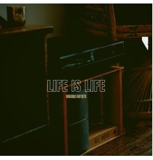 Various Artists - Life is Life