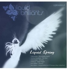 Various Artists - Liquid Spring