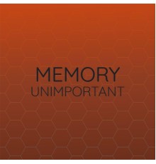 Various Artists - Memory Unimportant