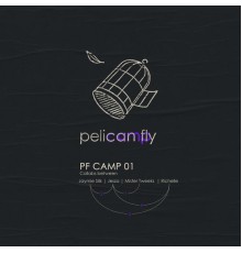 Various Artists - Pf Camp 01