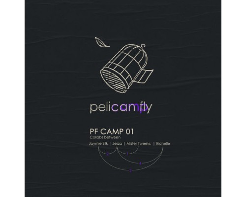 Various Artists - Pf Camp 01