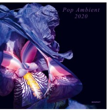 Various Artists - Pop Ambient 2020