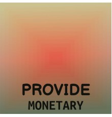 Various Artists - Provide Monetary