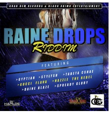 Various Artists - Raine Drops Riddim