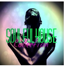 Various Artists - Soulful House Collection