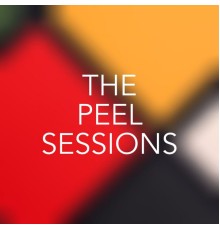 Various Artists - The Peel Sessions