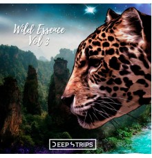 Various Artists - Wild Essence Vol III (Original Mix)
