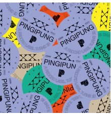 Various Artists - XX, Pingipung. A Record Label Turns 20