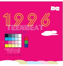 Various Artists - 1996 Teenbeat Sampler