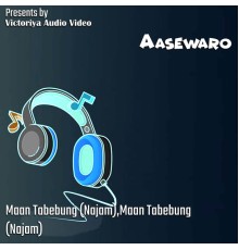 Various Artists - Aasewaro