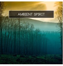 Various Artists - Ambient Spirit