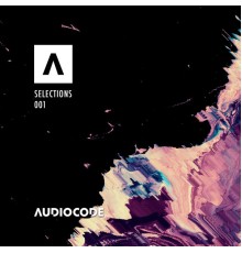 Various Artists - Audiocode Selections COMP001