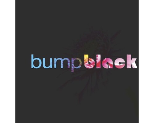 Various Artists - Bump Black Remixes