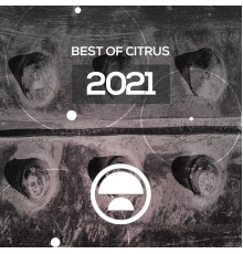 Various Artists - CITRUS RECAP 2021