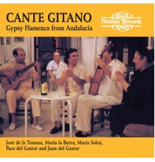 Various Artists - Cante Gitano: Gypsy Flamenco from Andalucia