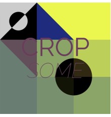 Various Artists - Crop Some