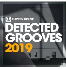 Various Artists - Detected Grooves 2019