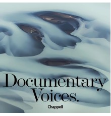 Various Artists - Documentary Voices