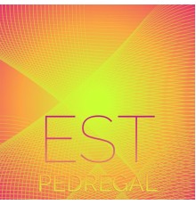 Various Artists - Est Pedregal