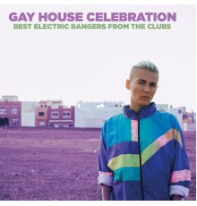 Various Artists - Gay House Celebration