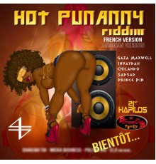 Various Artists - Hot Punanny Riddim