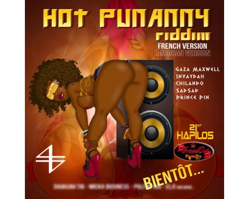 Various Artists - Hot Punanny Riddim