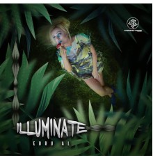 Various Artists - Illuminate (Original Mix)