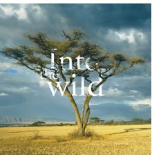 Various Artists - Into The Wild