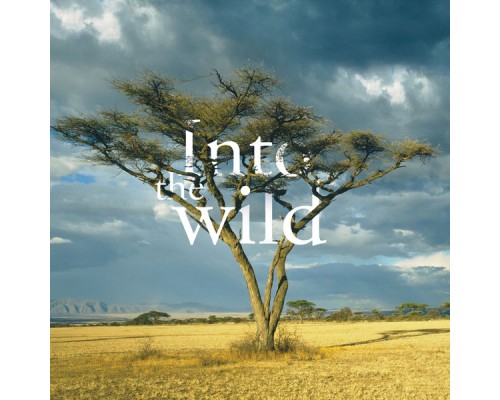 Various Artists - Into The Wild