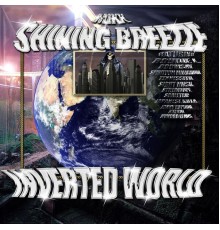 Various Artists - Inverted World