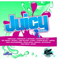 Various Artists - Juicy Riddim